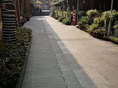 -鸿恩陶然大观园