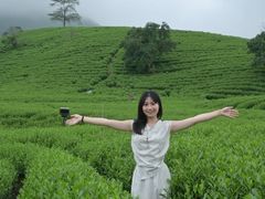 -帐篷客·溪龙茶谷度假酒店