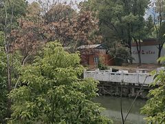 -炉鱼(萧山万象汇店)