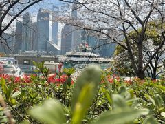 -北外滩滨江绿地