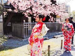 -京都和服体验 梦馆(五条店)