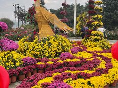 -北陵公园