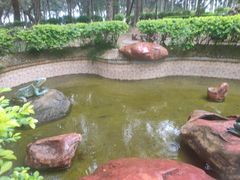 -宋井风景区
