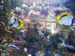 -水上乐园·欢乐世界