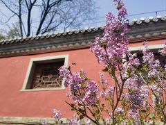 -潭柘寺景区