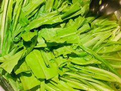-润园四季椰子鸡火锅(海上世界店)