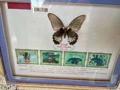 -呀路古热带植物园