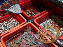 -巽寮印象美食部落餐厅·海鲜·地方特色菜(惠州体验店)