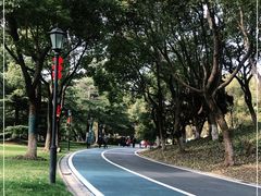-新洲生态园