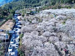 -广州市流溪河国家森林公园