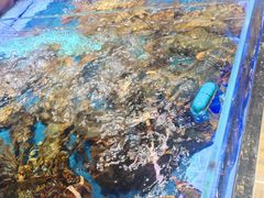 -舌尖上·霞浦滩涂海鲜·新闽菜(总店)
