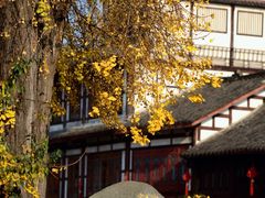 -崇州市街子古镇