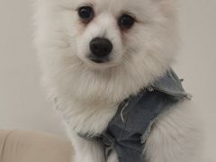 -怪兽屋·羊驼·猫咖·狗咖(俊华广场店)