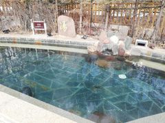 -汉拿山温泉度假酒店