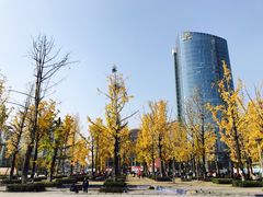 -百林公园-两江幸福广场