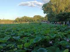 -后海公园