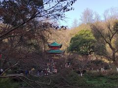 -岳麓山风景名胜区