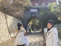 -云岗森林公园