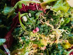 芥子酱羽翼甘蓝沙拉-小大董·烤鸭(凤凰汇店)