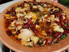 香辣酸菜黑鱼-云海肴·汽锅鸡·云南菜(天山百盛优客店)