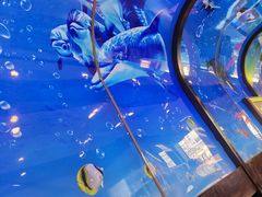 -小鱼儿海鲜港(新村十区店)