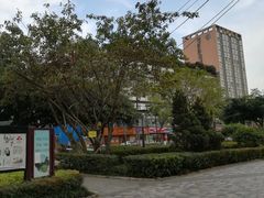 -神仙树公园