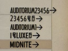 -大光明电影院(南京西路店)