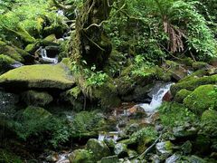 -龙苍沟森林公园