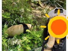 -熊猫谷