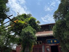 -洛阳白马寺