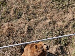 -无锡动物园·太湖欢乐园