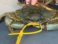 -Ministry of Crab•MOC(交子大道店)