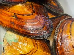 -十八字金·银饰·开蚌DIY·手工体验团建(魏公芳华里店)