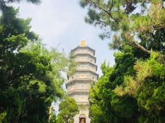 -湛山寺