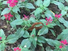 -艾溪湖湿地公园