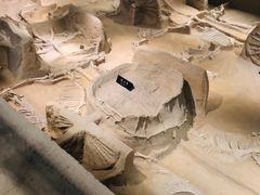 -洛阳周王城天子驾六博物馆