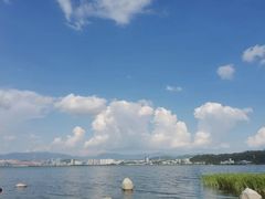 -洱海月湿地公园