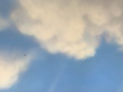 -馨越楼·点心·粤菜(赤坎店)