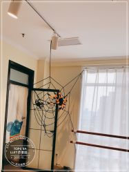 -TOPS BALLET芭蕾国际培训中心