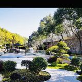 品鉴午间美味佳肴