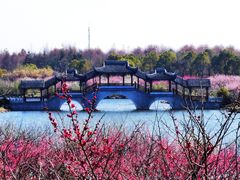 -上海海湾国家森林公园