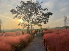 -汉长安城未央宫国家考古遗址公园