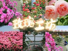 -栖露营camping·天幕烧烤·团建拓展·采摘营地