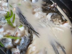 鱼头汤-丰乐餐厅·始于1999·本地老字号