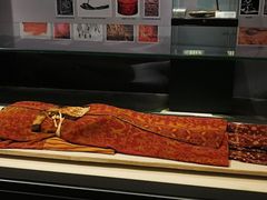 -北京大学赛克勒考古与艺术博物馆