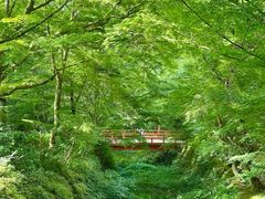 -三千院