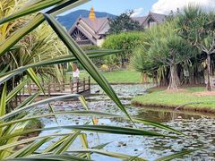 -中国科学院西双版纳热带植物园