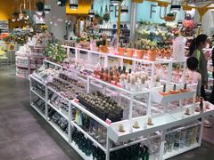 -KKV(深圳宏发大仟里店)