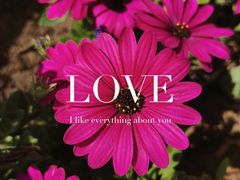 -奥士凯物美(新兴里店)