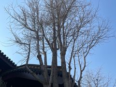 -西林禅寺